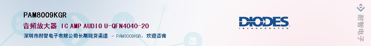 PAM8009KGR��Ӧ��-���ǵ���