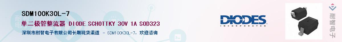 SDM100K30L-7Ӧ-ǵ