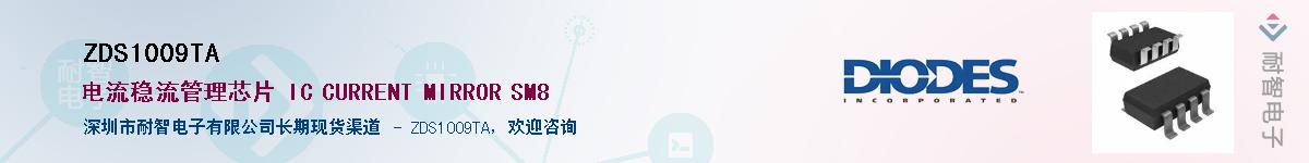 ZDS1009TA��Ӧ��-���ǵ���