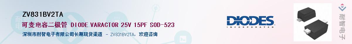 ZV831BV2TA��Ӧ��-���ǵ���