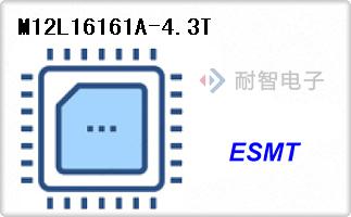 M12L16161A-4.3T