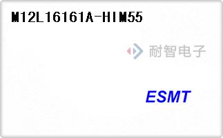 M12L16161A-HIM55