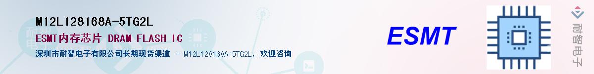 M12L128168A-5TG2LӦ-ǵ