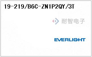 19-219/B6C-ZN1P2QY/3T