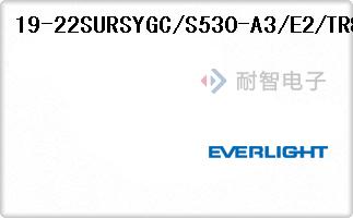 19-22SURSYGC/S530-A3/E2/TR8