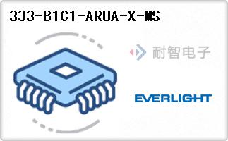333-B1C1-ARUA-X-MS