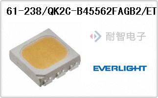 61-238/QK2C-B45562FAGB2/ET