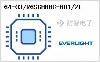 64-03/R6SGHBHC-B01/2T