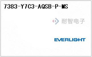 7383-Y7C3-AQSB-P-MS