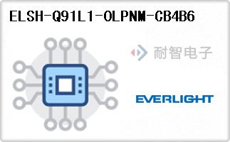 ELSH-Q91L1-0LPNM-CB4B6