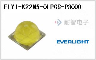 ELYI-K22M5-0LPGS-P3000