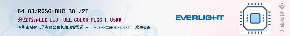 64-03/R6SGHBHC-B01/2TӦ-ǵ