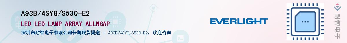 A93B/4SYG/S530-E2Ӧ-ǵ