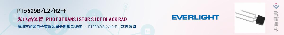 PT5529B/L2/H2-FӦ-ǵ