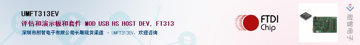 UMFT313EVӦ-ǵ