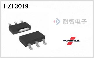 FZT3019