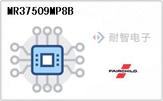 MR37509MP8B