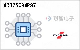 MR37509MP97
