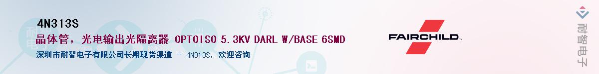 4N313S��Ӧ��-���ǵ���