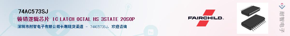 74AC573SJ��Ӧ��-���ǵ���