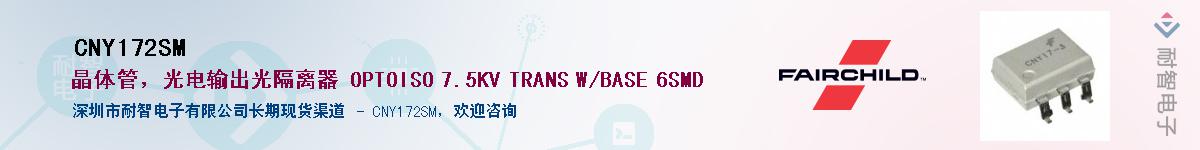 CNY172SM��Ӧ��-���ǵ���