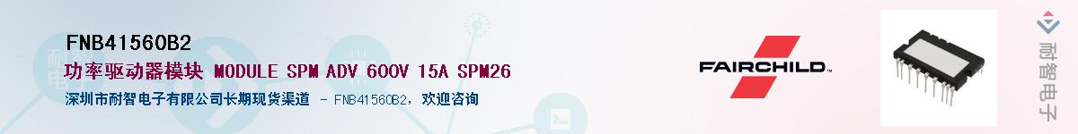 FNB41560B2��Ӧ��-���ǵ���