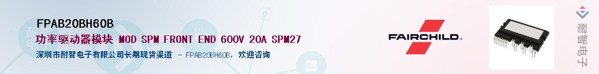 FPAB20BH60B��Ӧ��-���ǵ���