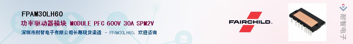 FPAM30LH60��Ӧ��-���ǵ���