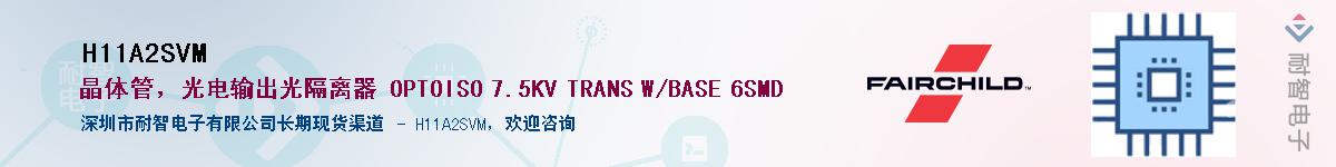 H11A2SVM��Ӧ��-���ǵ���