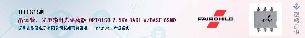 H11G1SM��Ӧ��-���ǵ���