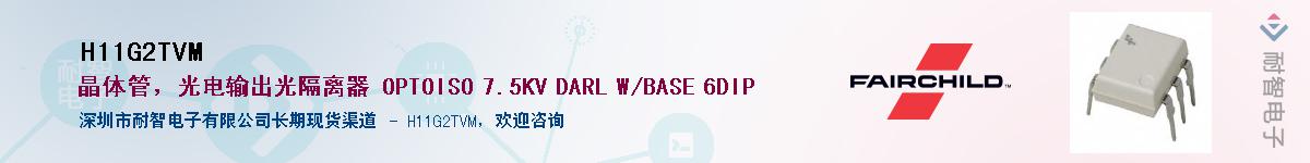 H11G2TVMӦ-ǵ