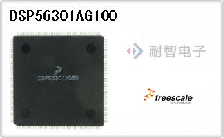 DSP56301AG100