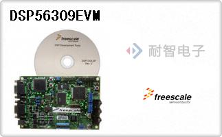 DSP56309EVM