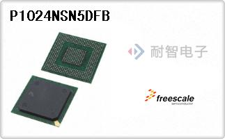P1024NSN5DFB