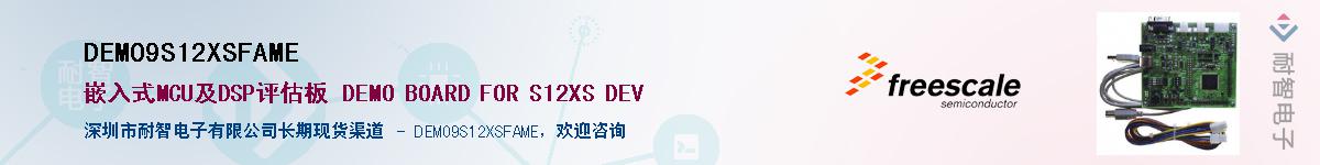 DEMO9S12XSFAMEӦ-ǵ