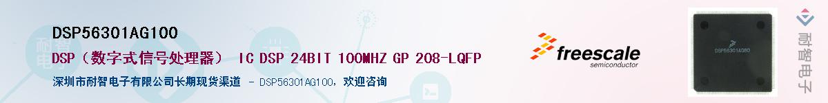 DSP56301AG100��Ӧ��-���ǵ���