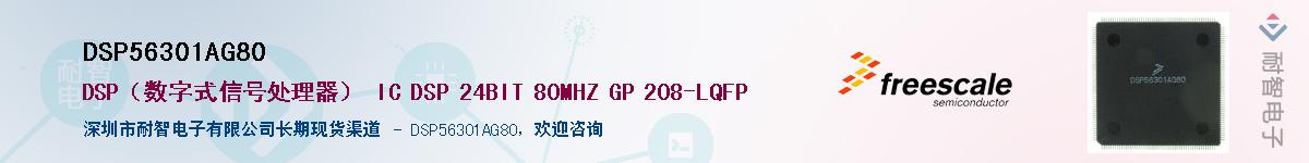 DSP56301AG80��Ӧ��-���ǵ���