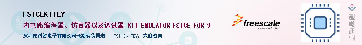 FSICEKITEYӦ-ǵ
