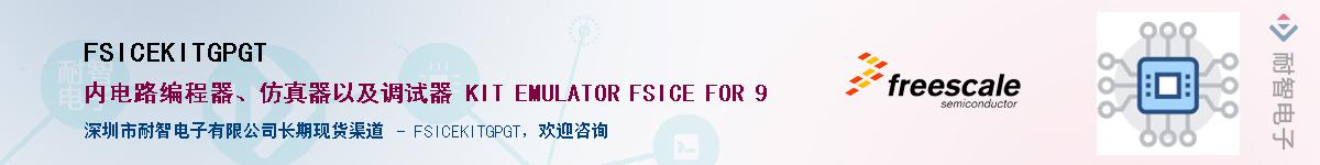 FSICEKITGPGTӦ-ǵ