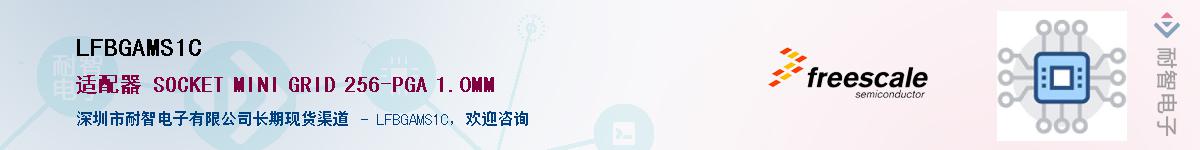 LFBGAMS1CӦ-ǵ