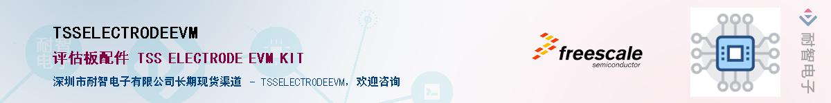 TSSELECTRODEEVMӦ-ǵ