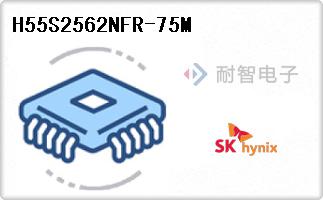 H55S2562NFR-75M