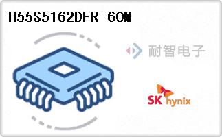 H55S5162DFR-60M