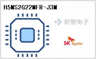 H5MS2G22MFR-J3M