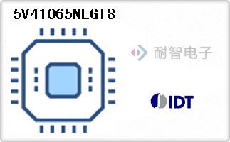 5V41065NLGI8