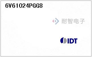 6V61024PGG8