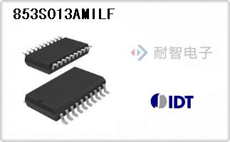 853S013AMILF
