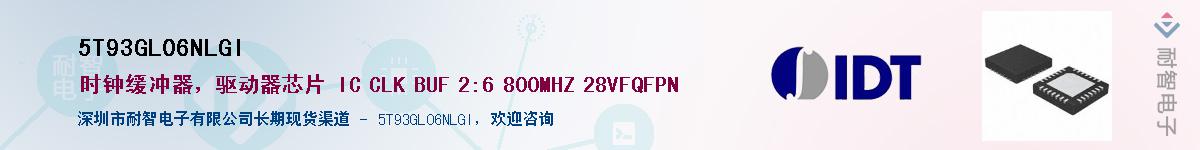 5T93GL06NLGIӦ-ǵ
