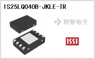 IS25LQ040B-JKLE-TR