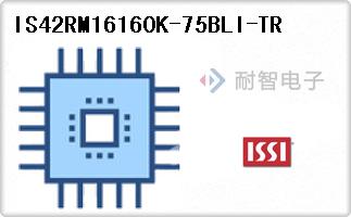 IS42RM16160K-75BLI-TR